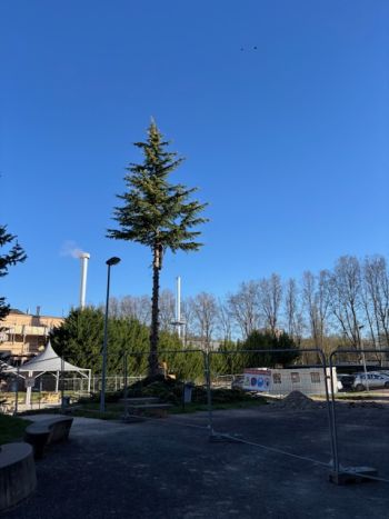 Travaux - Lycée Saint Charles
