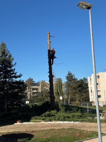 Travaux - Lycée Saint Charles