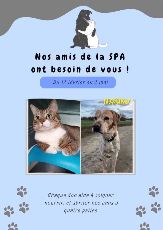 Collecte de dons pour la SPA organisée par les élèves de CAP AEPE - Lycée Saint Charles
