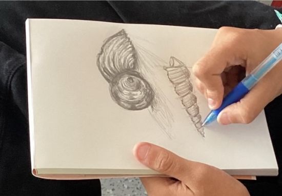 Premières Séances d'Option Arts Plastiques - Lycée Saint Charles